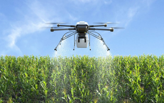 Campo agrícola en Guatemala